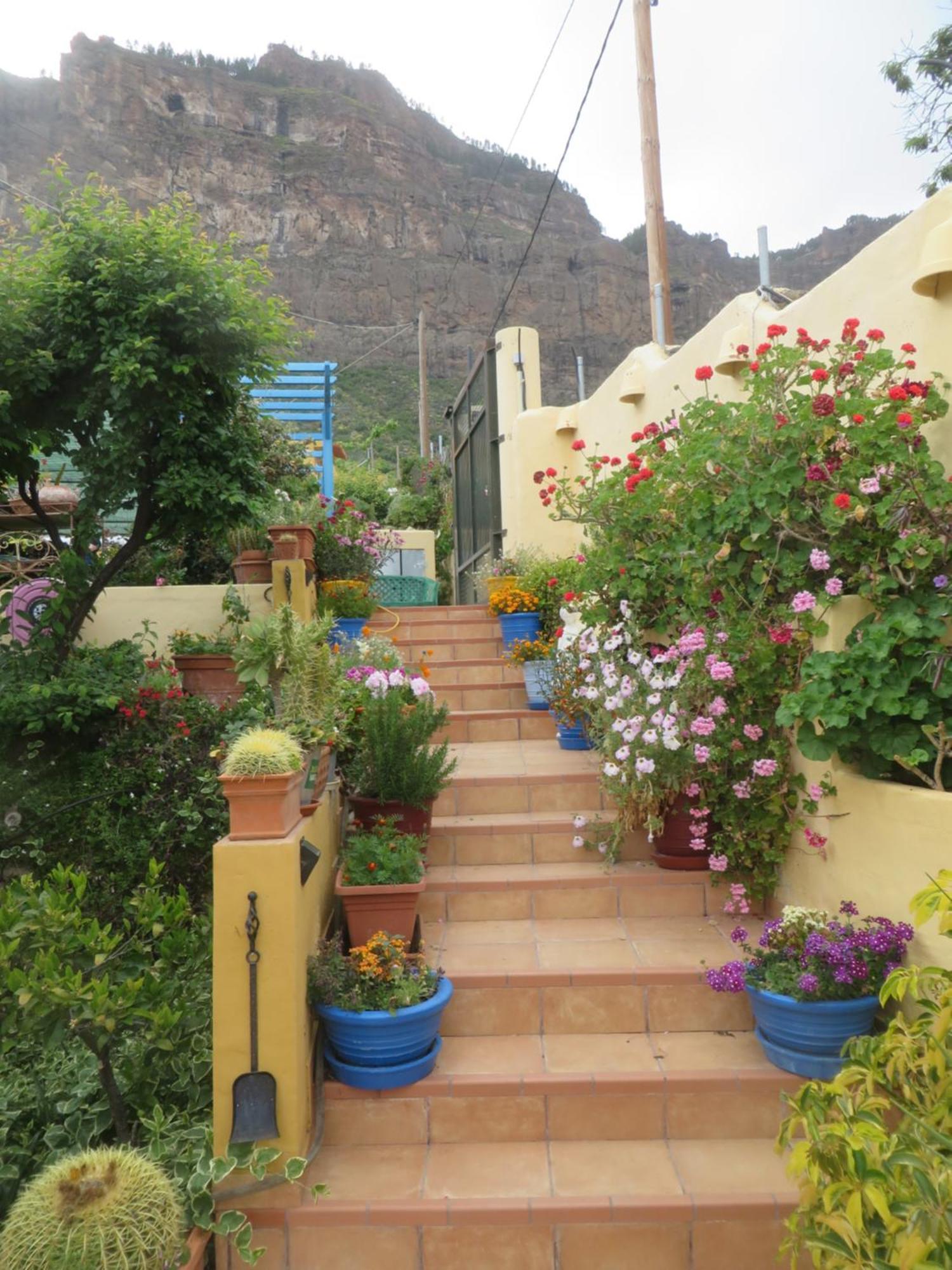 Finca Cortez Apartment 4 San Bartolomé Екстериор снимка